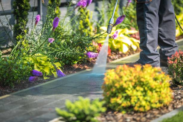 Tyler, MN Pressure Washing Services Company